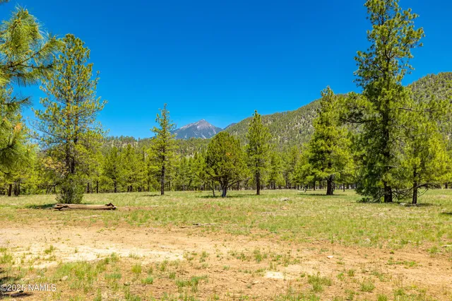 $3,499,999 | 150 East E Flat, Flagstaff, AZ 86001