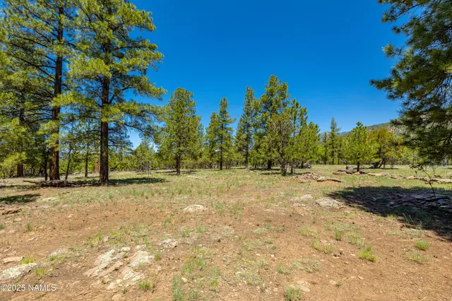 $3,499,999 | 150 East E Flat, Flagstaff, AZ 86001