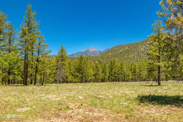 $3,499,999 | 150 East E Flat, Flagstaff, AZ 86001
