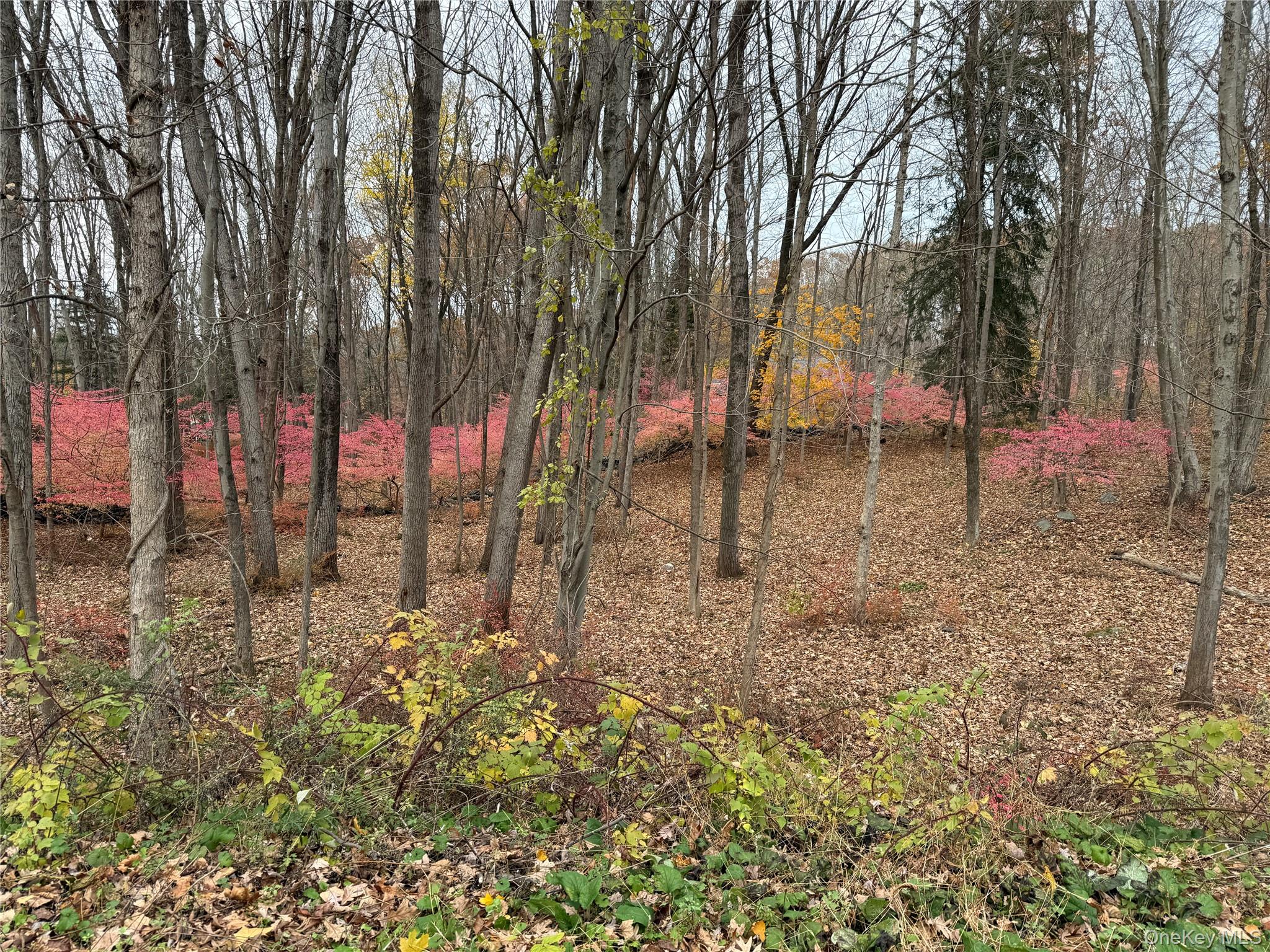 a view of outdoor space with street view