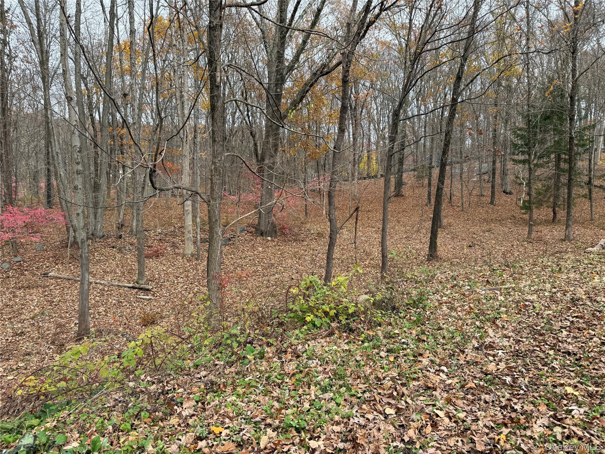 334 Bedford-Banksville Road Bedford, NY 10506 - Photo 3 of 10 a backyard of a house with lots of green space