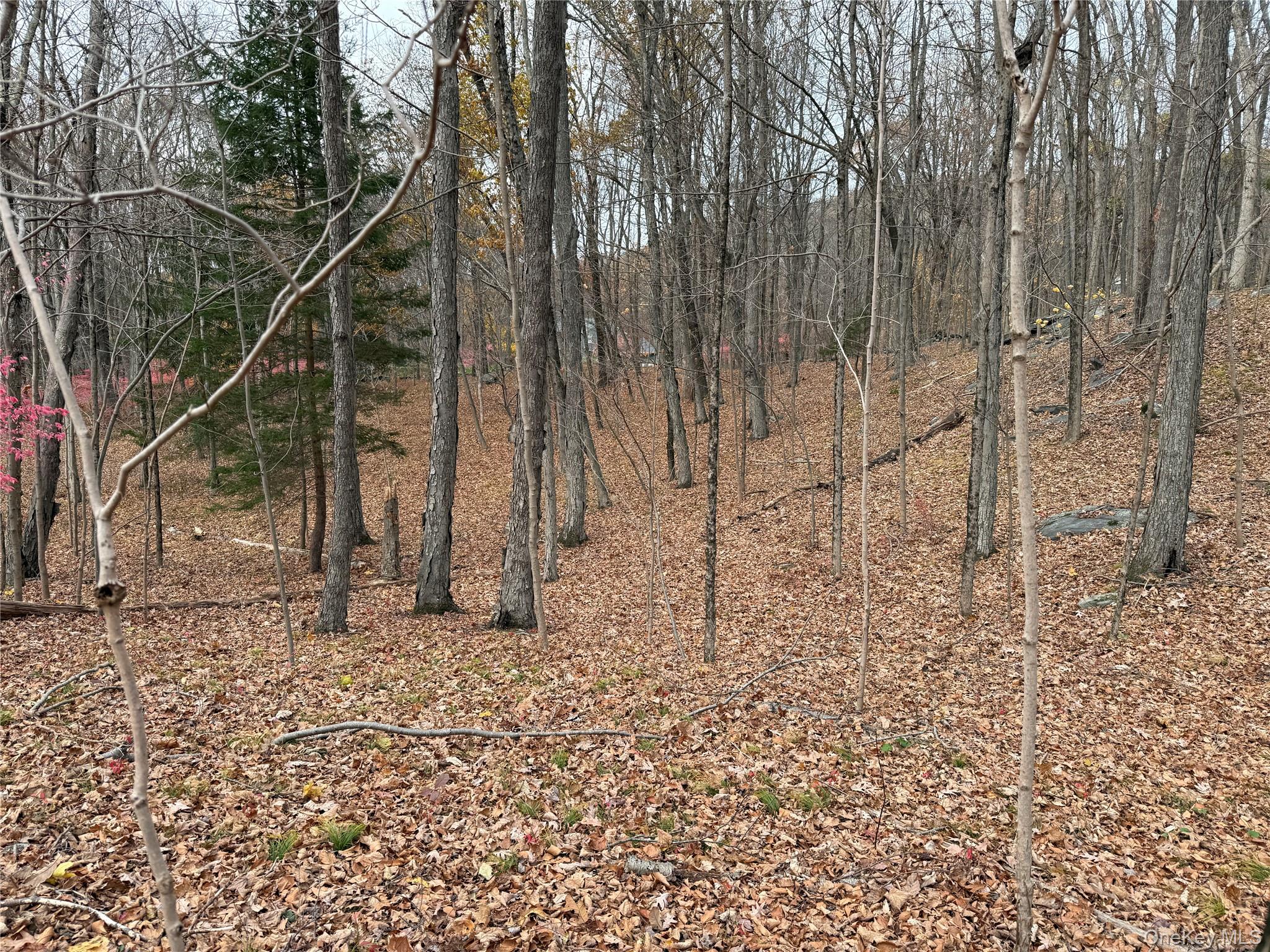 334 Bedford-Banksville Road Bedford, NY 10506 - Photo 4 of 10 a backyard of a house with lots of green space