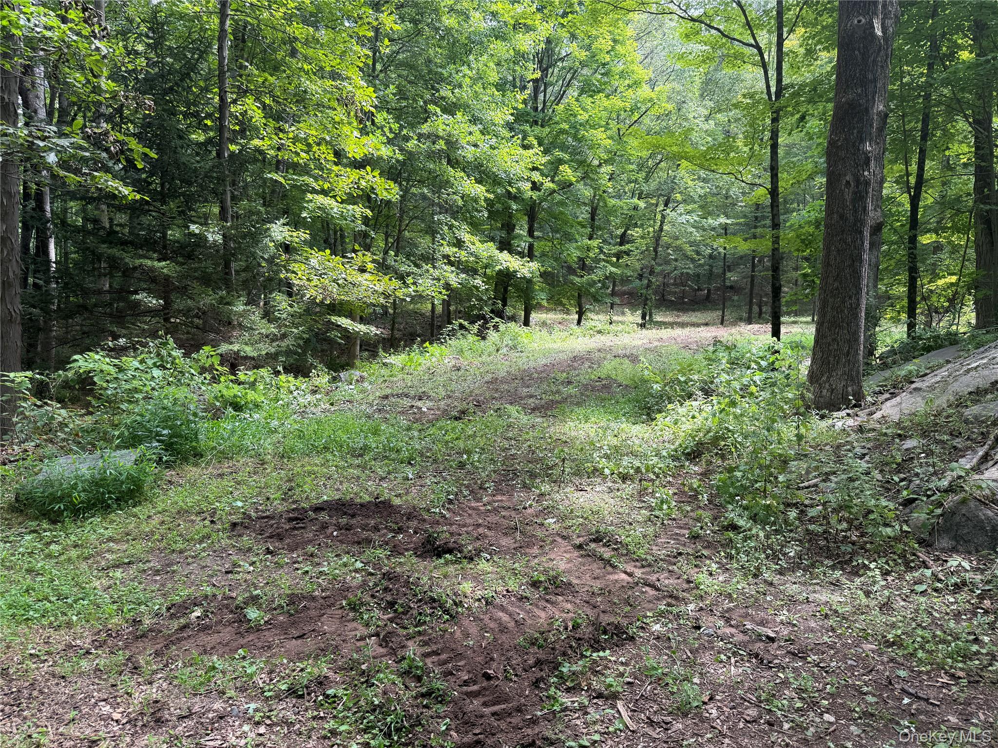 334 Bedford-Banksville Road Bedford, NY 10506 - Photo 5 of 10 a view of outdoor space and green space