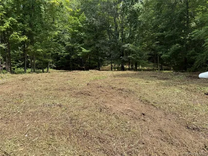 a view of a yard with a tree