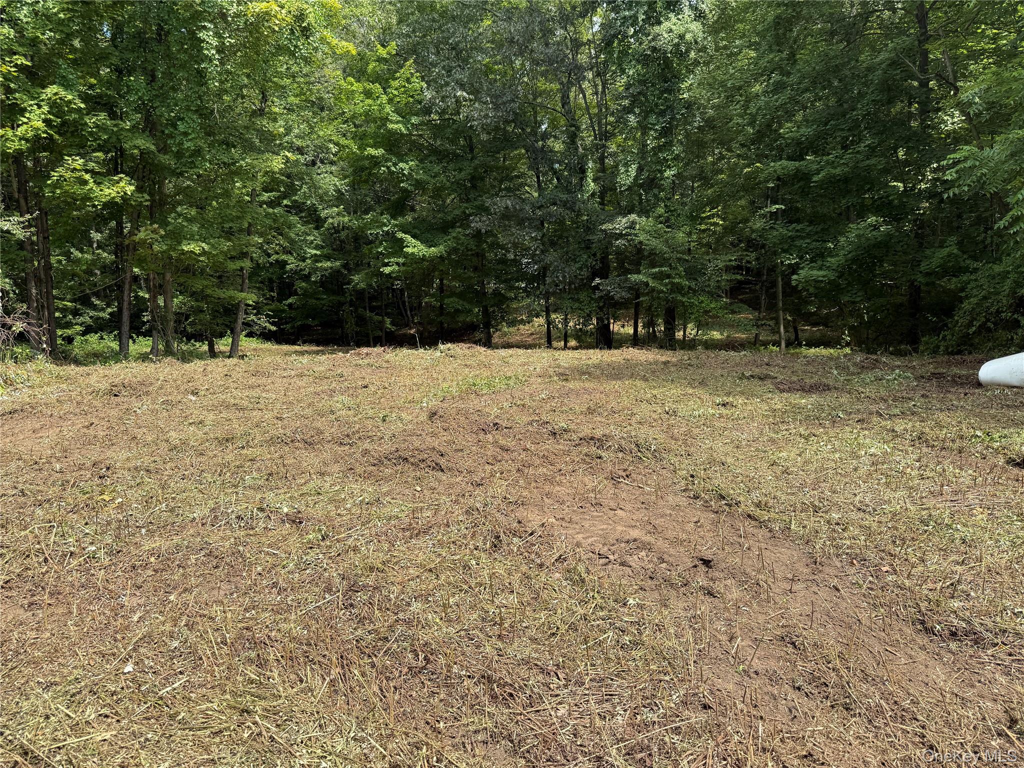 334 Bedford-Banksville Road Bedford, NY 10506 - Photo 6 of 10 a view of a yard with a tree