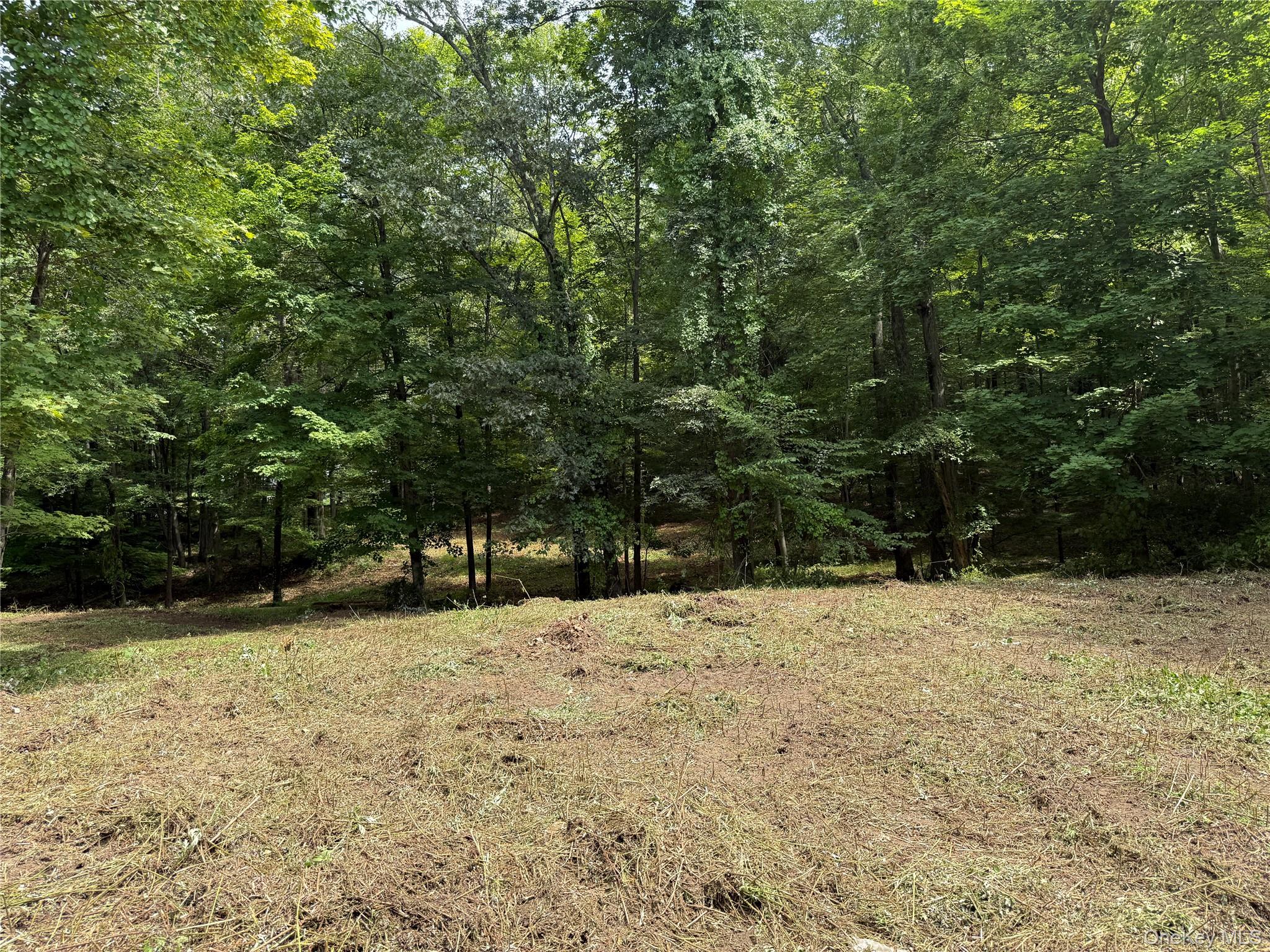 334 Bedford-Banksville Road Bedford, NY 10506 - Photo 7 of 10 a view of empty space with trees