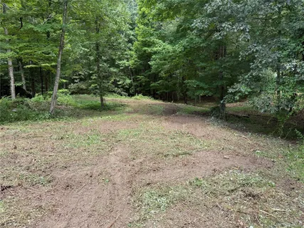 a view of a yard with a tree