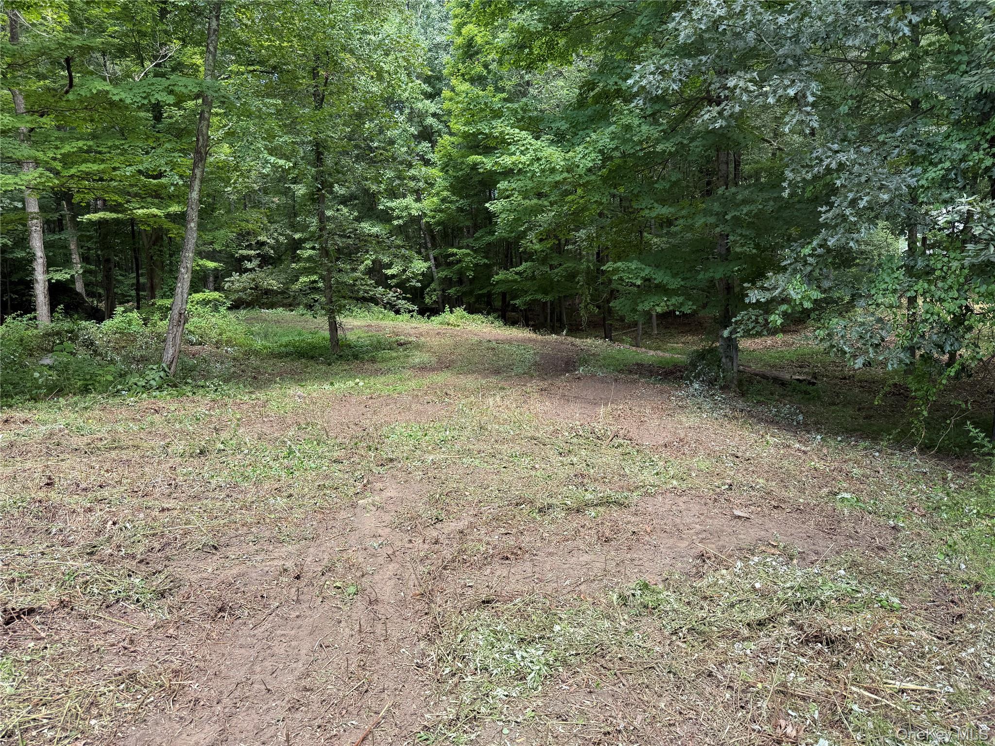 334 Bedford-Banksville Road Bedford, NY 10506 - Photo 8 of 10 a view of a yard with a tree
