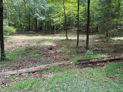 a view of outdoor space with trees all around