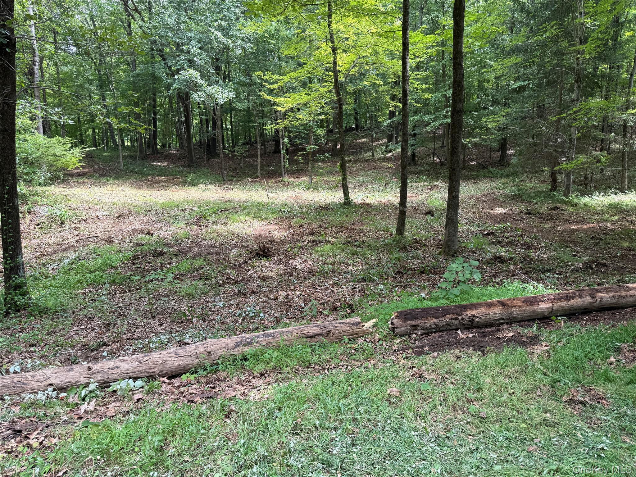 334 Bedford-Banksville Road Bedford, NY 10506 - Photo 9 of 10 a view of outdoor space with trees all around