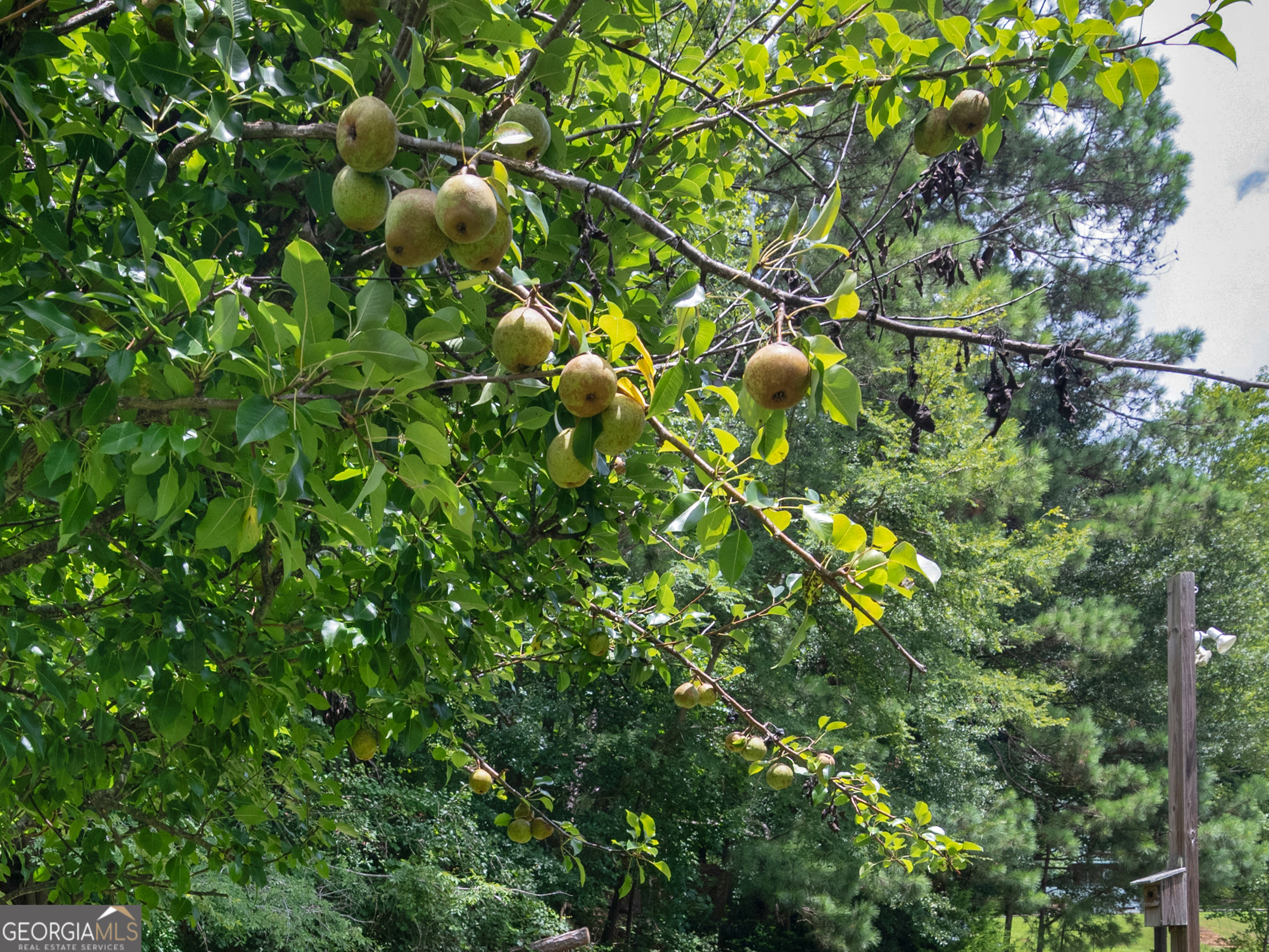 800 Rocky Point Road Covington, GA 30014 - Photo 17 of 37