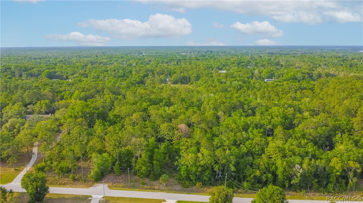 2665 East Steven Street Inverness, FL 34453 - Photo 3 of 10