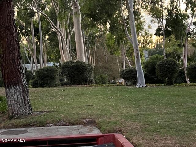 1225 Fitzgerald Road, Unit E Simi Valley, CA 93065 - Photo 29 of 30 a view of backyard with green space