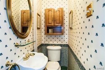406 West Jackson Road Webster Groves, MO 63119 - Photo 20 of 37 Gallery Image 20