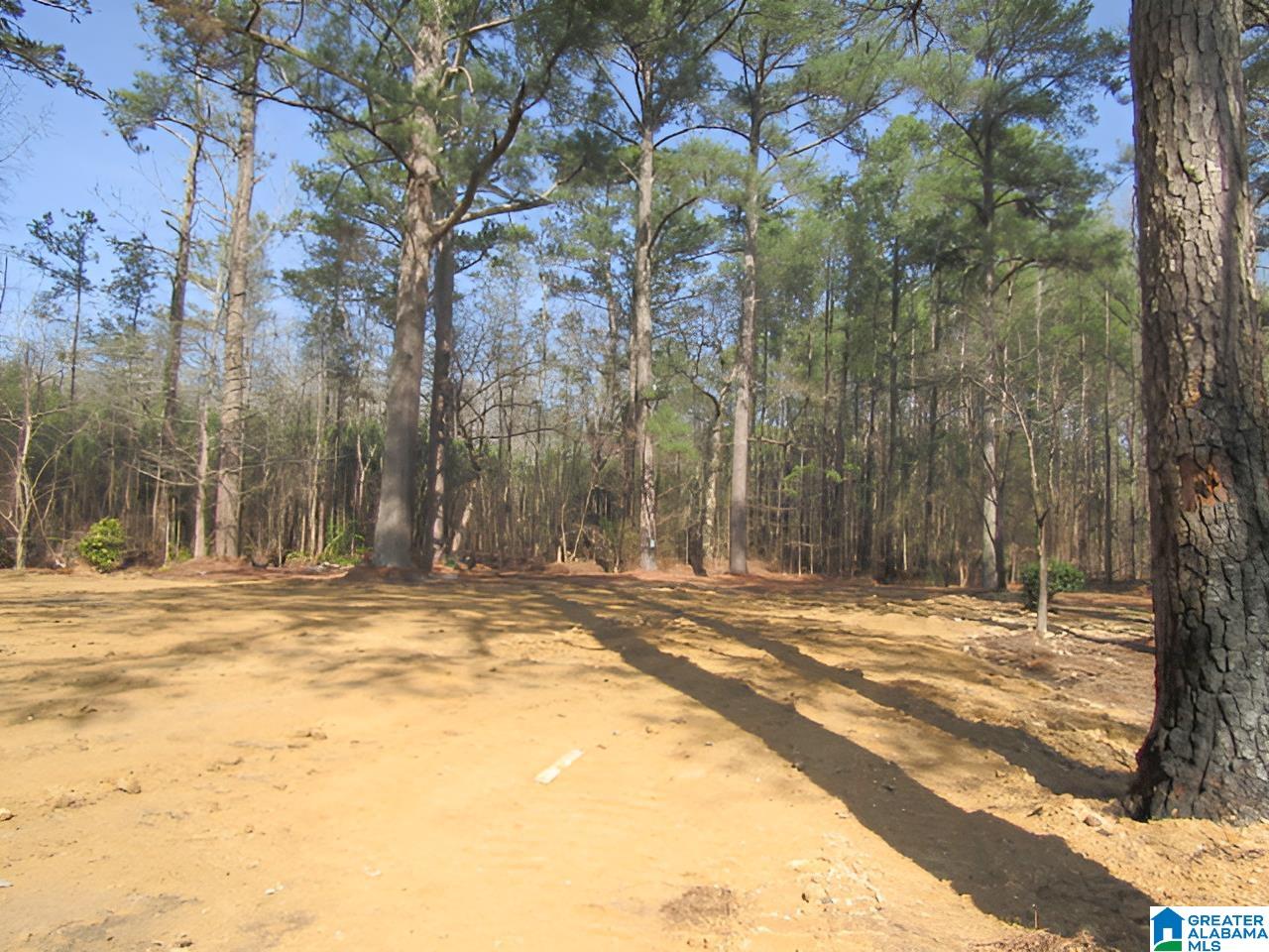 4429 Roy Webb Road Jacksonville, AL 36265 - Photo 21 of 26