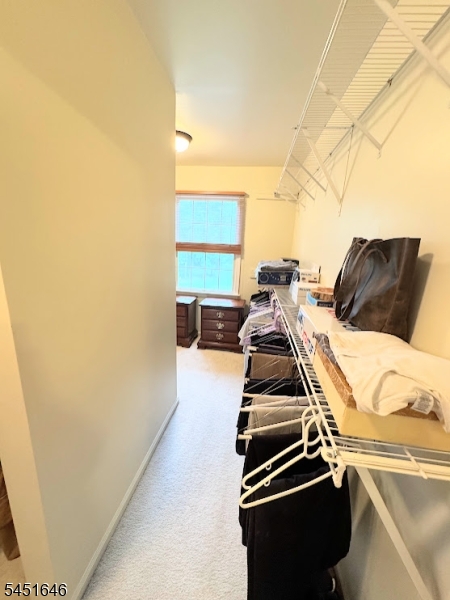 80 Plum Brook Road Flemington, NJ 08822 - Photo 25 of 46 Gallery Image 25