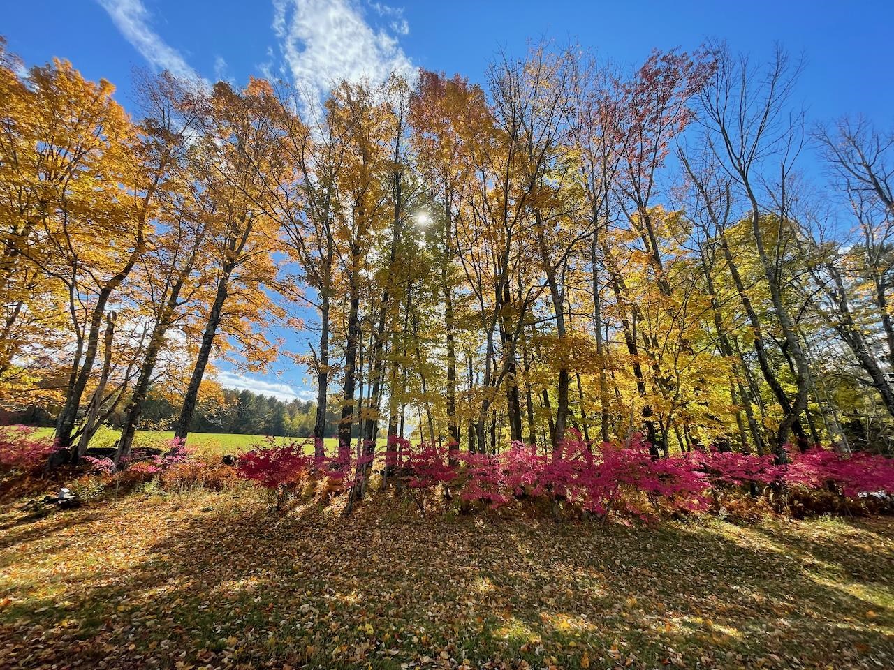 88 Kibling Hill Road Tunbridge, VT 05077 - Photo 23 of 25