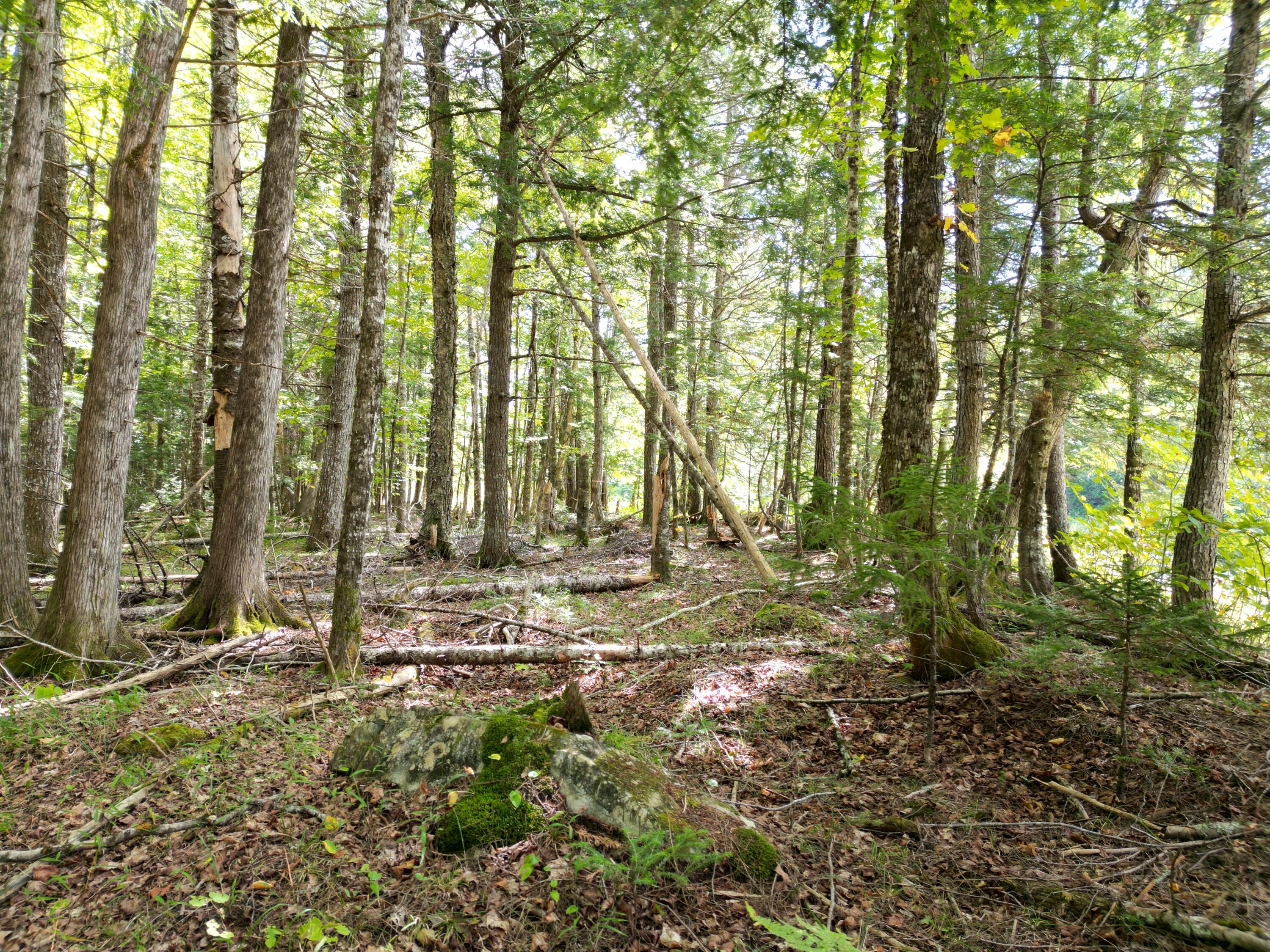 Lot 24-24i Silver Ridge Road Kingman, ME 04451 - Photo 13 of 25 DJI_0969