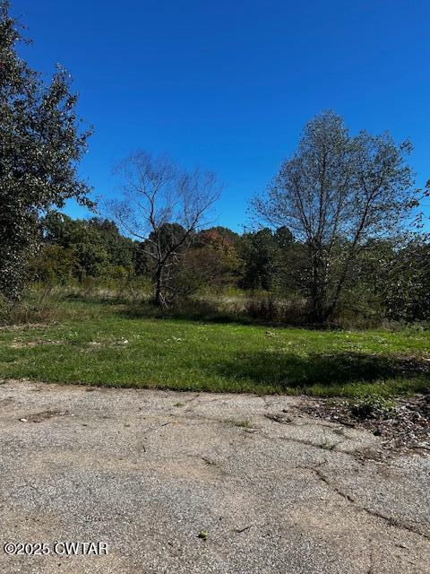 2035 Brown Cemetery Road Luray, TN 38352 - Photo 13 of 23 image12