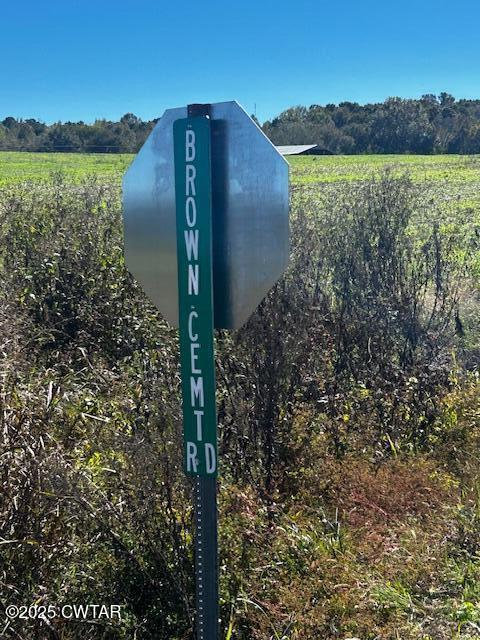 2035 Brown Cemetery Road Luray, TN 38352 - Photo 2 of 23 image0