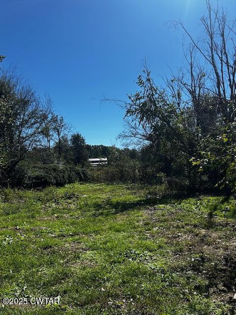 2035 Brown Cemetery Road Luray, TN 38352 - Photo 22 of 23 image22