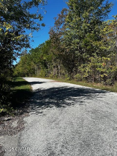 2035 Brown Cemetery Road Luray, TN 38352 - Photo 23 of 23 image23