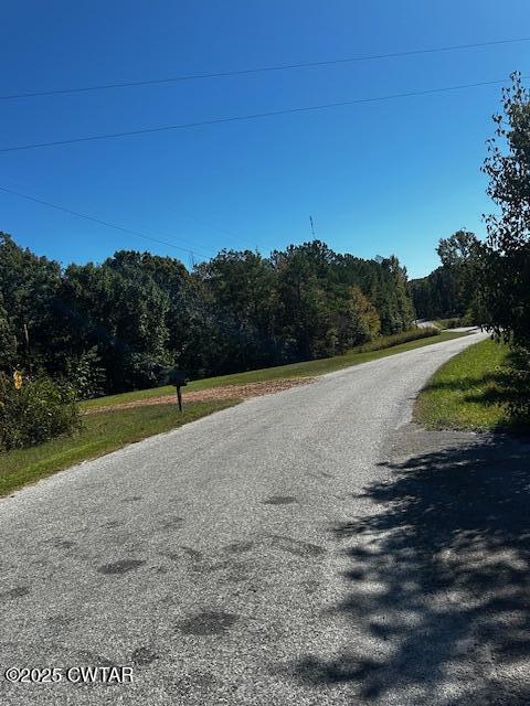 2035 Brown Cemetery Road Luray, TN 38352 - Photo 4 of 23 image2