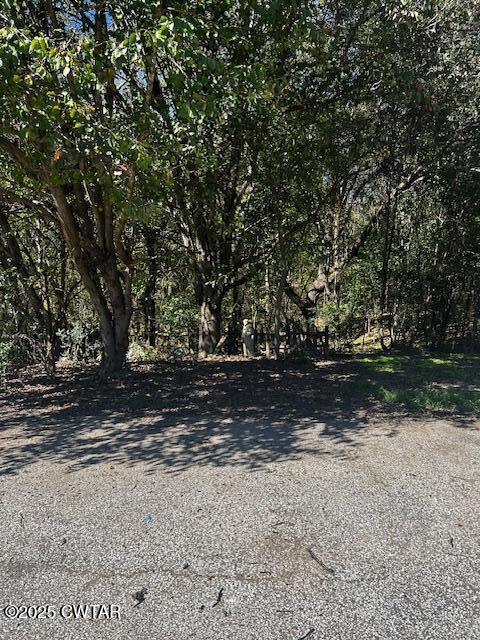 2035 Brown Cemetery Road Luray, TN 38352 - Photo 10 of 23 image8