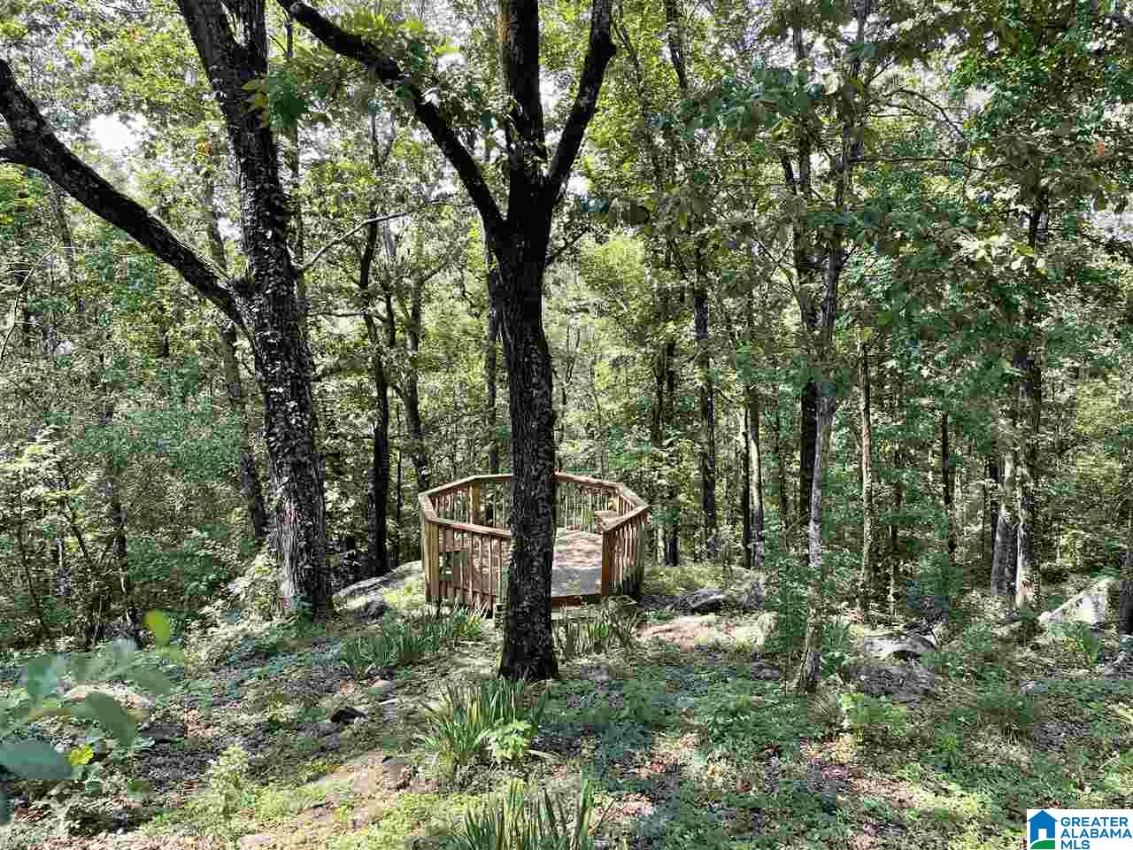 36 Shades Crest Road Birmingham, AL 35226 - Photo 9 of 9