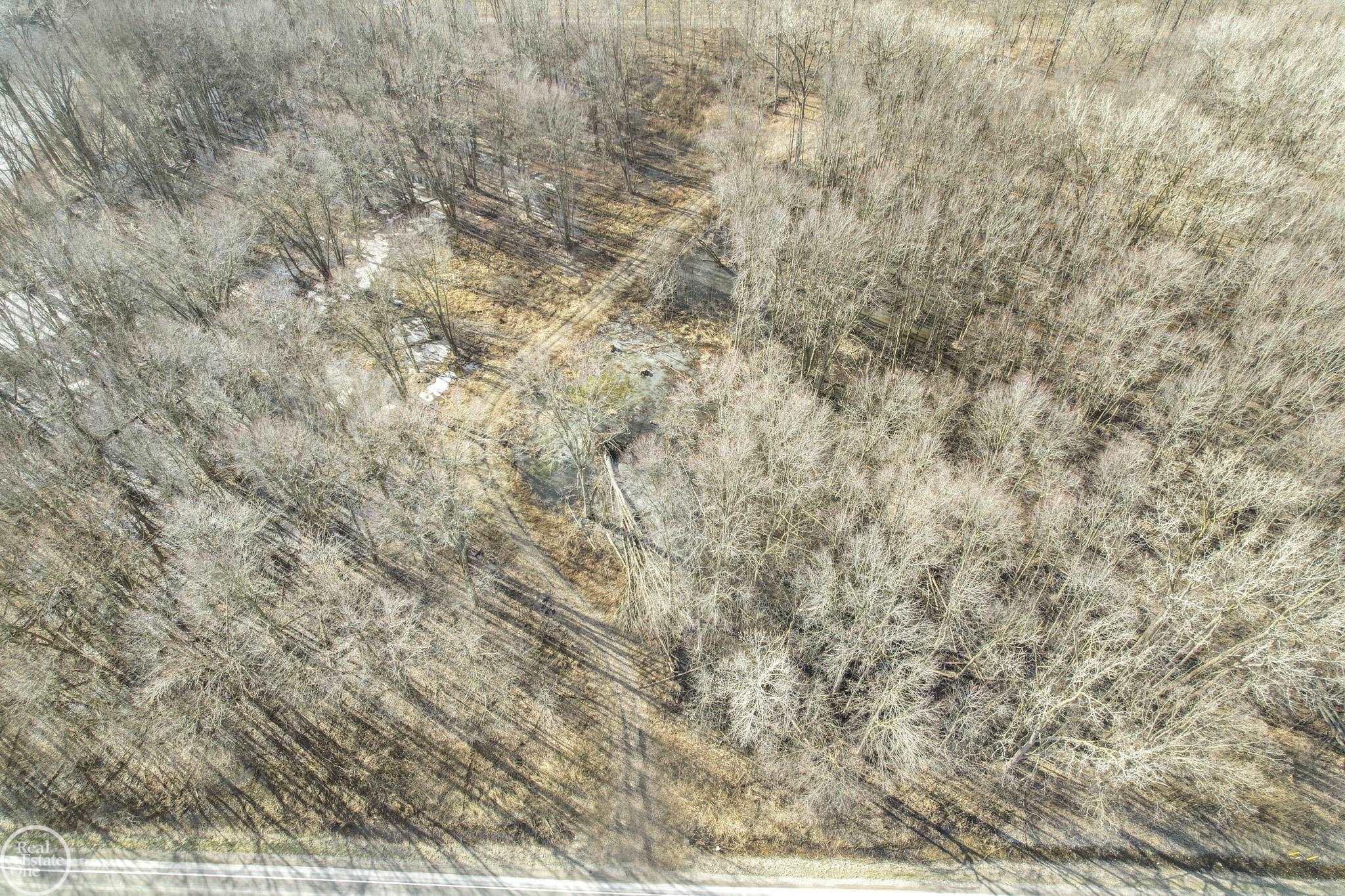 4716 County Line Road New Haven, MI 48048 - Photo 1 of 12