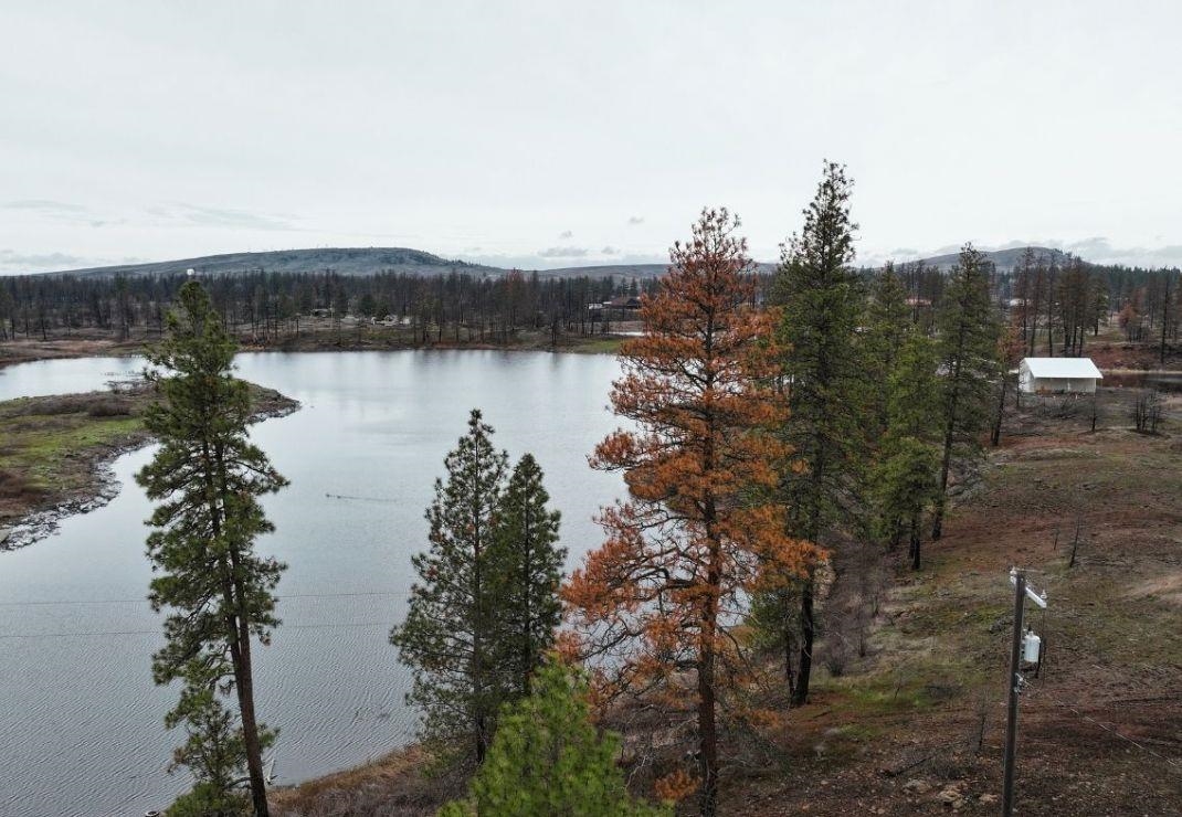 South Medical Lake Road Medical Lake, WA 99022 - Photo 5 of 9