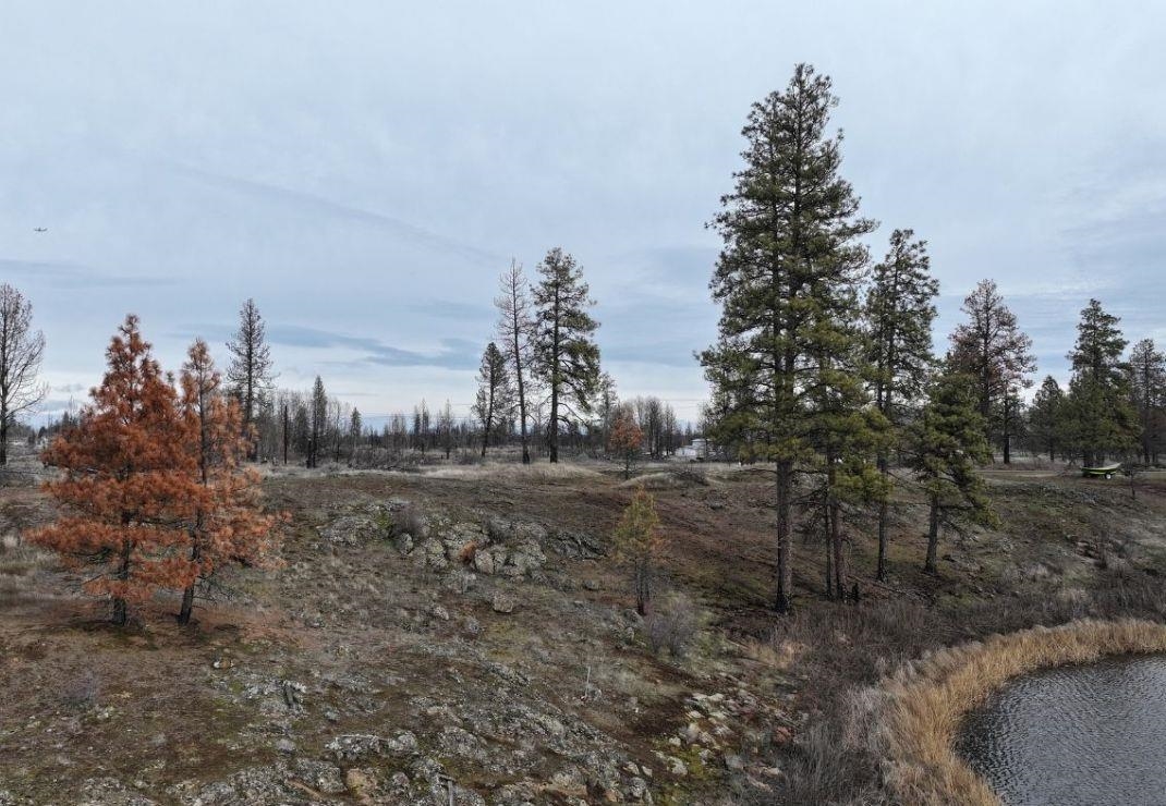 South Medical Lake Road Medical Lake, WA 99022 - Photo 6 of 9