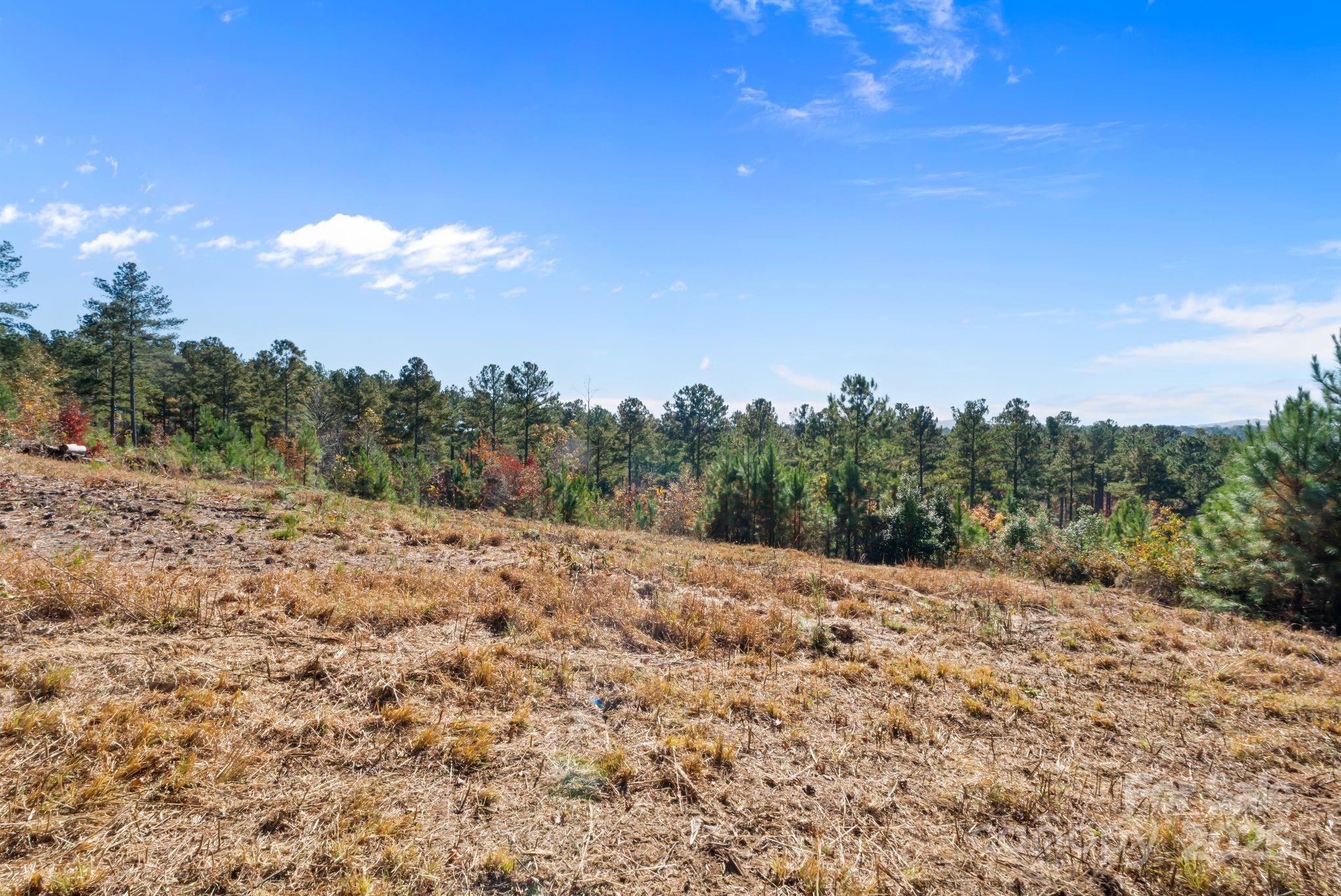 0 Liberty Road Granite Falls, NC 28630 - Photo 11 of 13 a view of a covered with snow in the middle of a field
