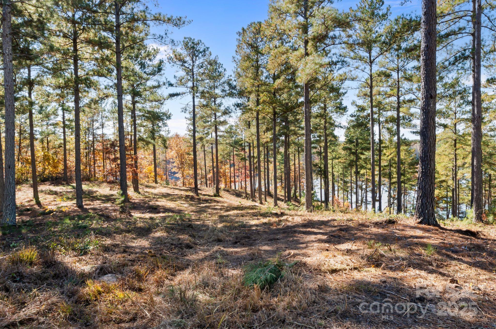0 Liberty Road Granite Falls, NC 28630 - Photo 6 of 13 a view of dirt field with trees