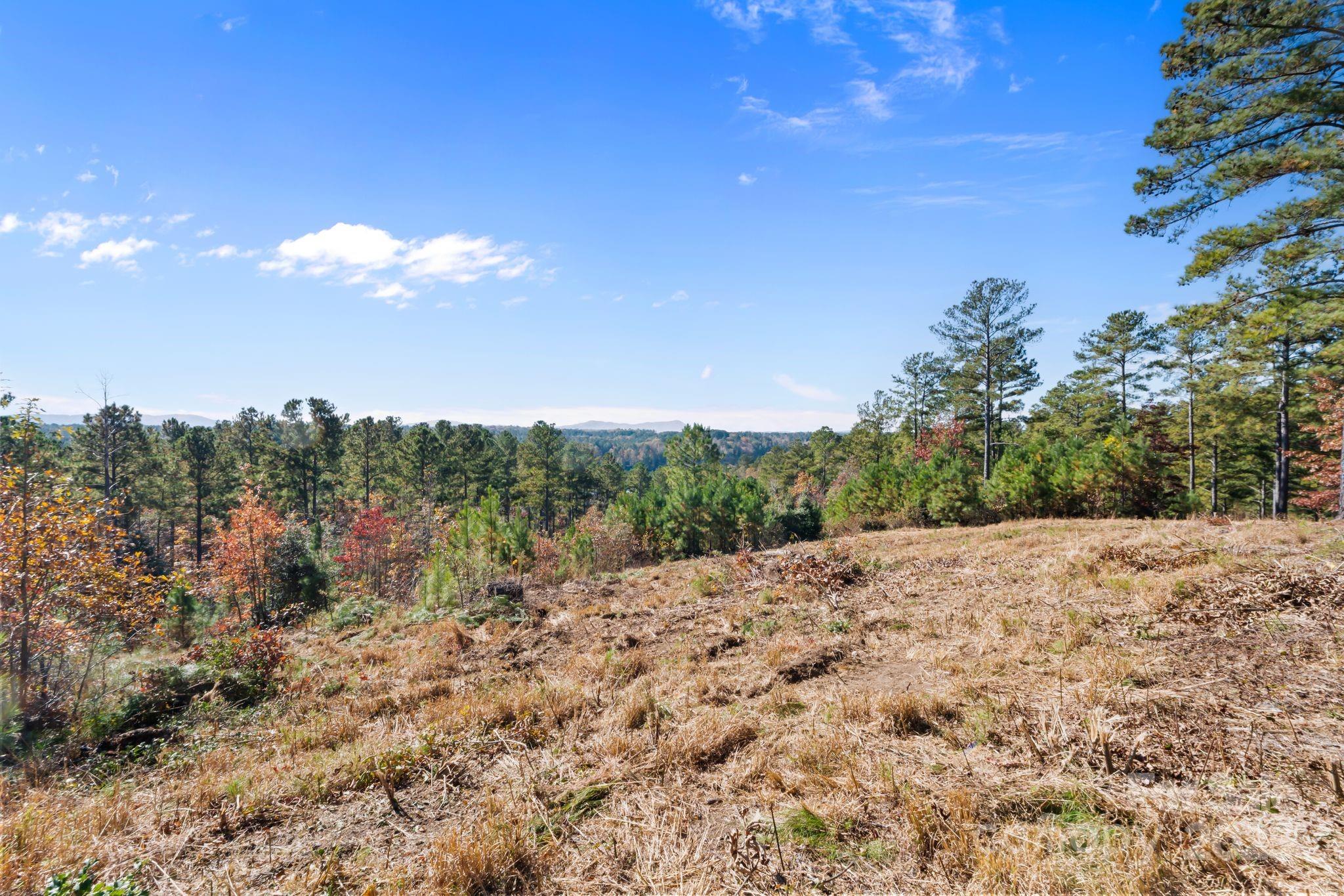 0 Liberty Road Granite Falls, NC 28630 - Photo 7 of 13 a view of a dry yard with trees in the background