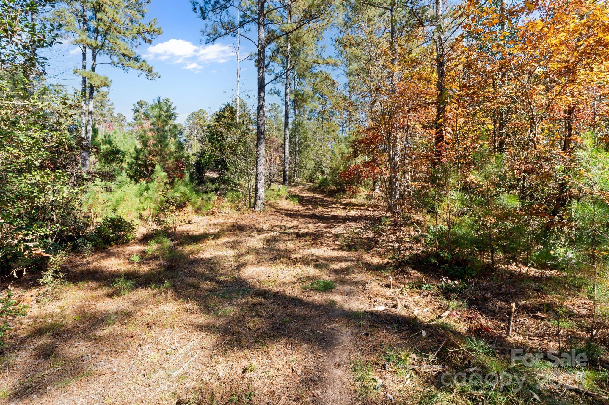 0 Liberty Road Granite Falls, NC 28630 - Photo 10 of 13 a view of a yard with a tree