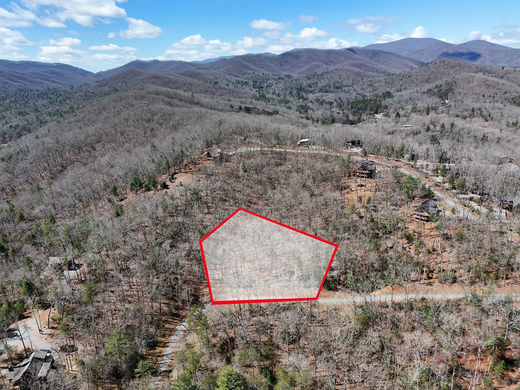 Lot 9 Native Trail Cherry Log, GA 30522 - Photo 11 of 11 a view of a dry yard with mountains