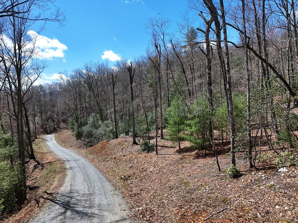 Lot 9 Native Trail Cherry Log, GA 30522 - Photo 3 of 11 a view of outdoor space with lots of trees