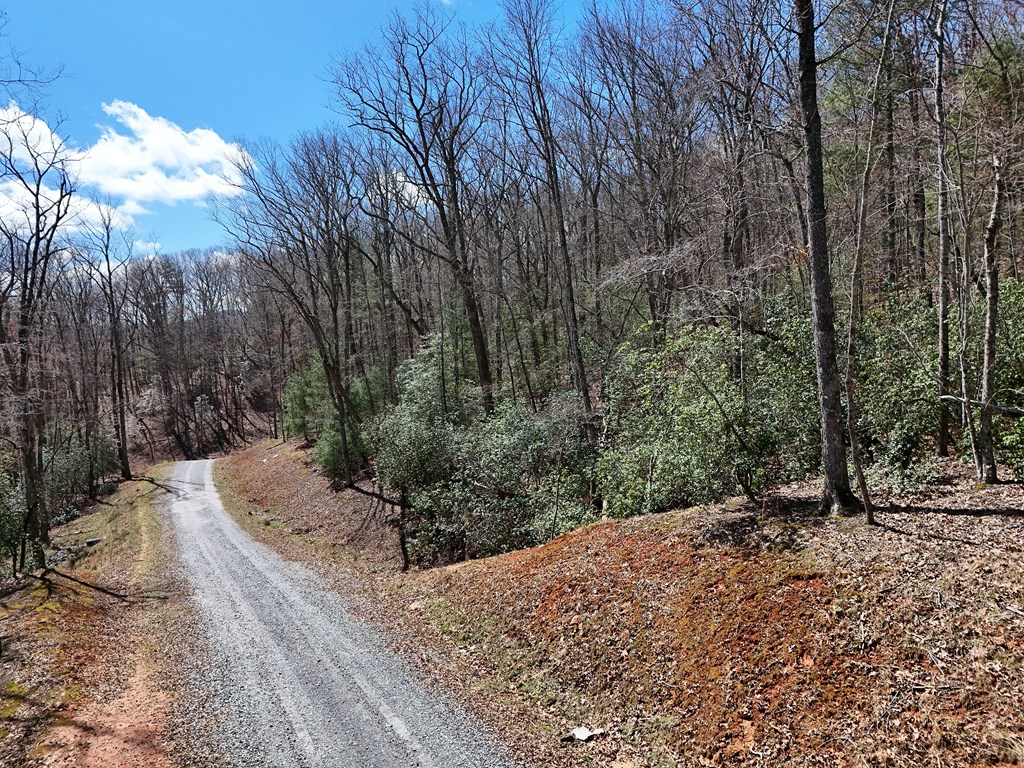 Lot 9 Native Trail Cherry Log, GA 30522 - Photo 4 of 11 a view of a backyard of the house