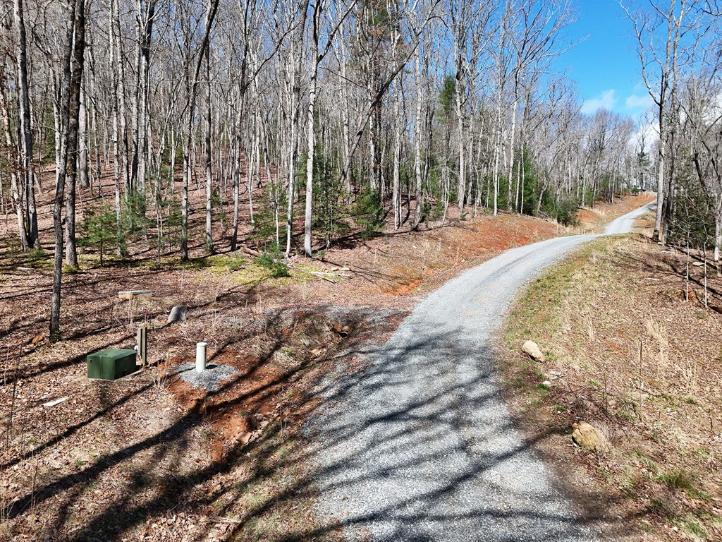 Lot 9 Native Trail Cherry Log, GA 30522 - Photo 5 of 11 a view of backyard of house
