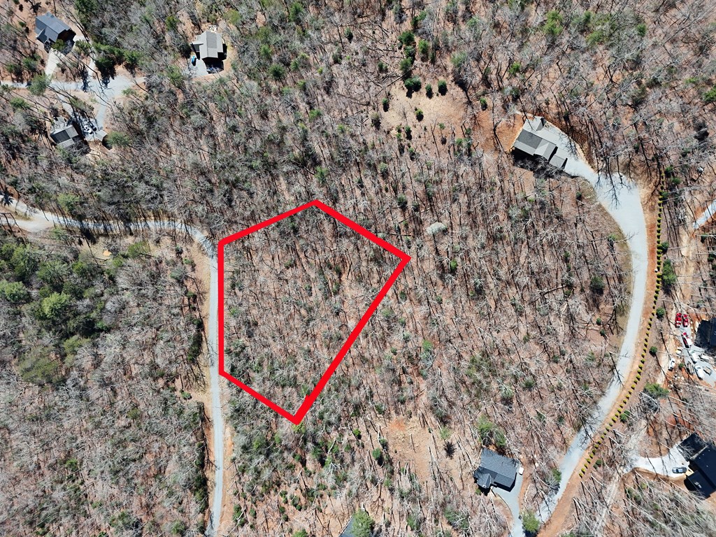 Lot 9 Native Trail Cherry Log, GA 30522 - Photo 6 of 11 a view of a park with a tree