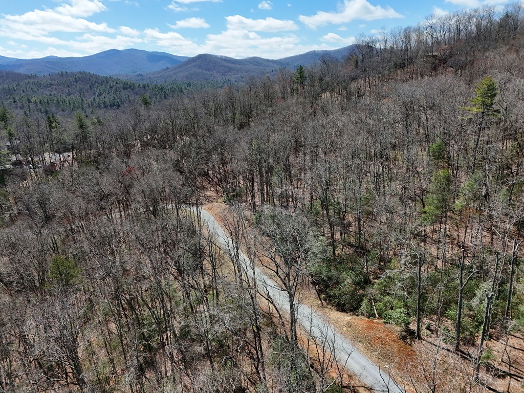 Lot 9 Native Trail Cherry Log, GA 30522 - Photo 7 of 11 a view of a forest with mountains in the background