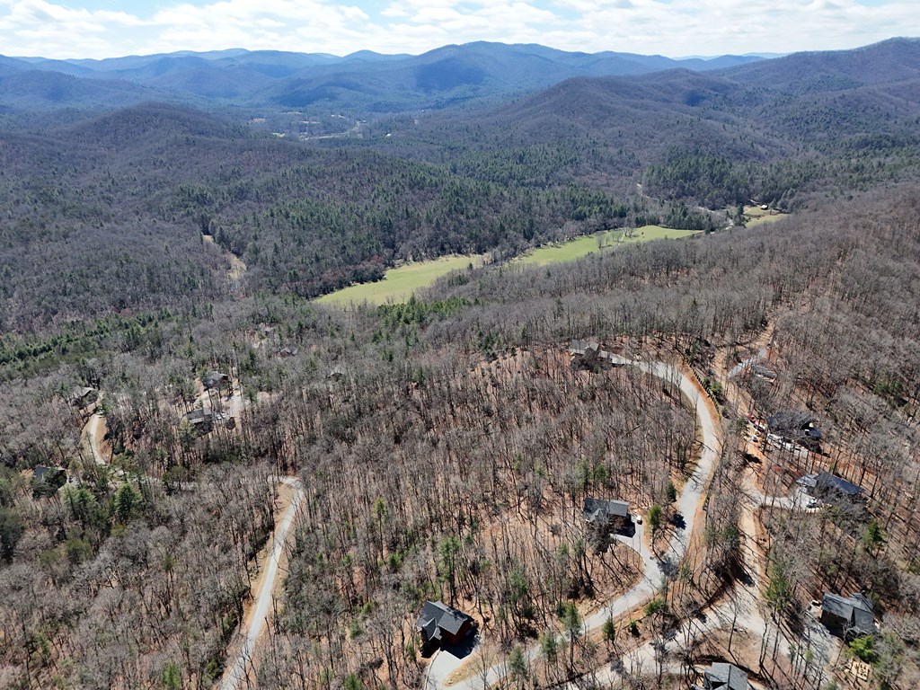 Lot 9 Native Trail Cherry Log, GA 30522 - Photo 8 of 11 a view of a dry yard