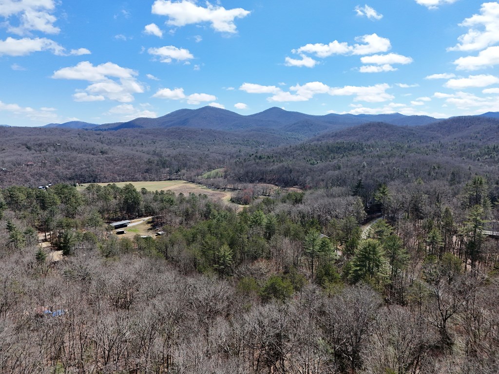 Lot 9 Native Trail Cherry Log, GA 30522 - Photo 9 of 11 a view of city and mountain