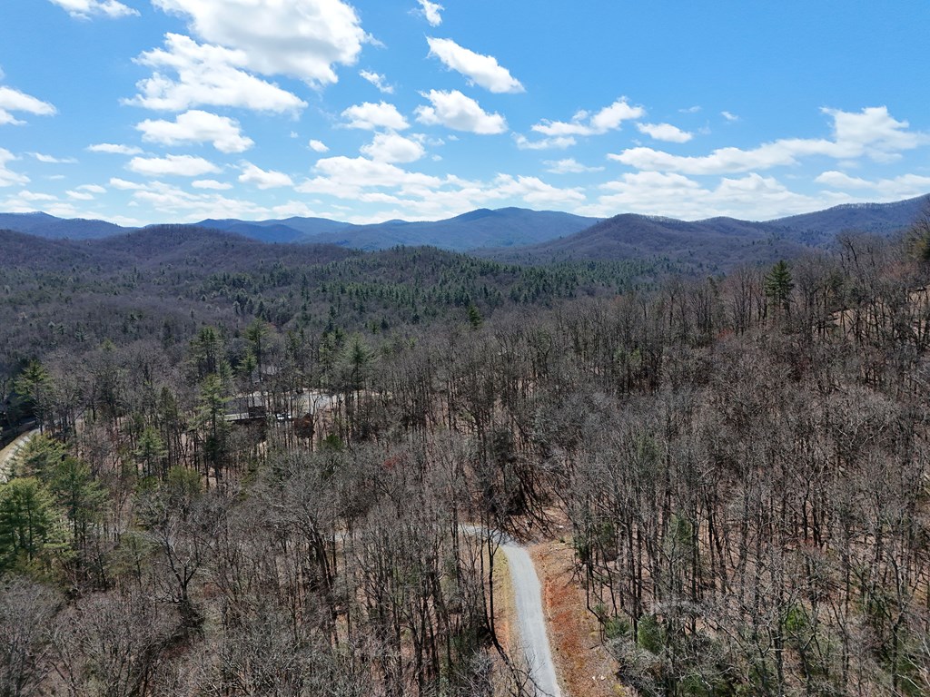 Lot 9 Native Trail Cherry Log, GA 30522 - Photo 10 of 11 a view of a city with lush green forest