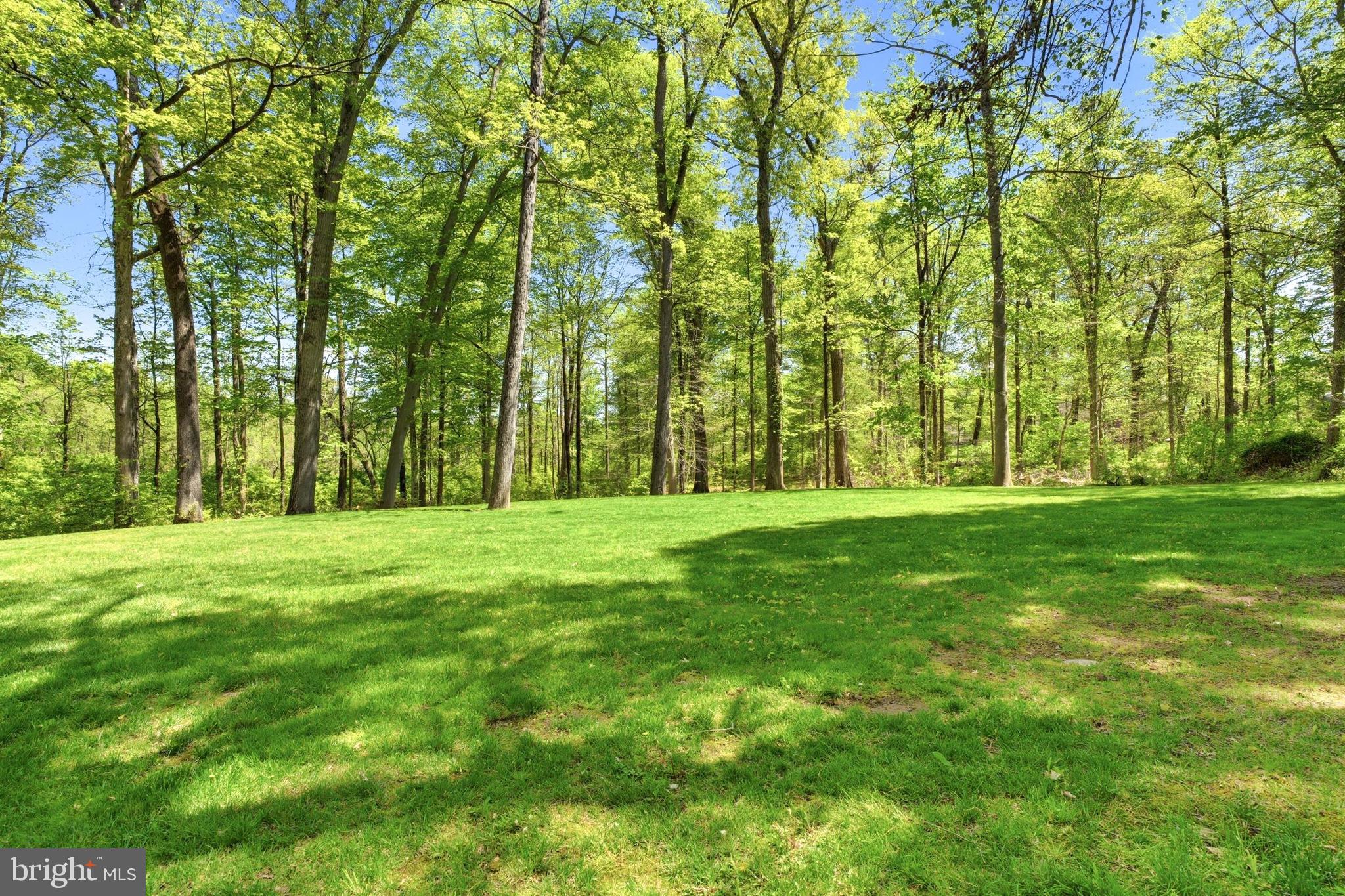 4511 Province Line Road Princeton, NJ 08540 - Photo 28 of 34 a huge green field with lots of trees