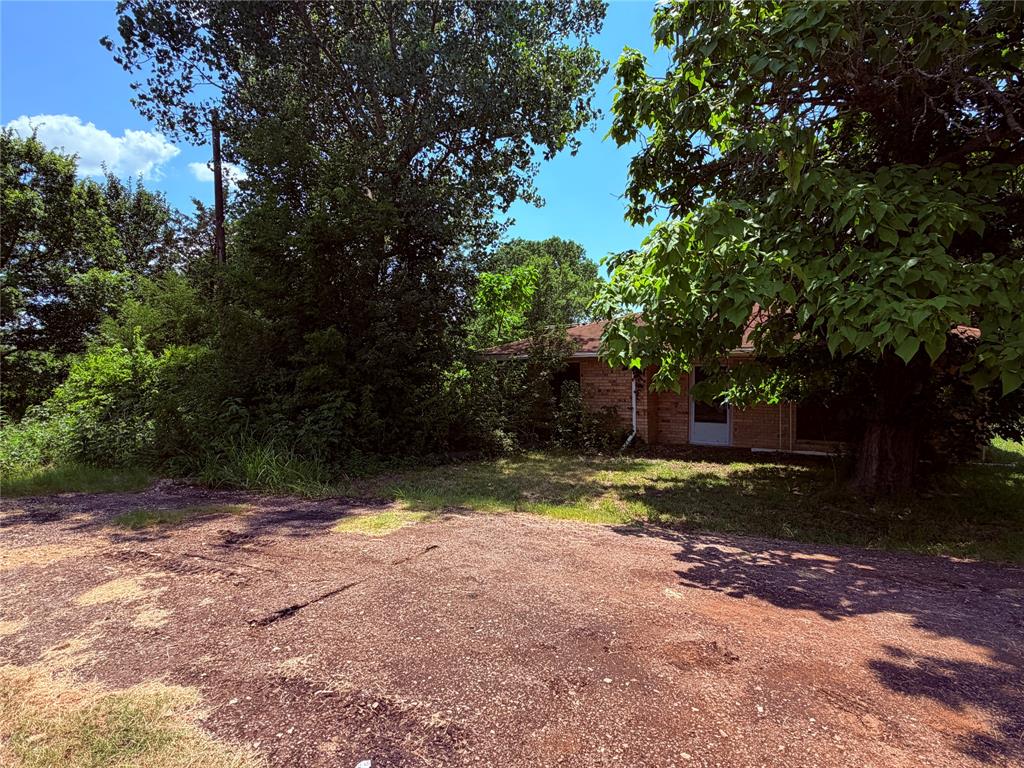690 County Road Brookston, TX 75421 - Photo 2 of 10 Brick exterior under a brown shingle roof, partially obscured by mature trees and dense foliage