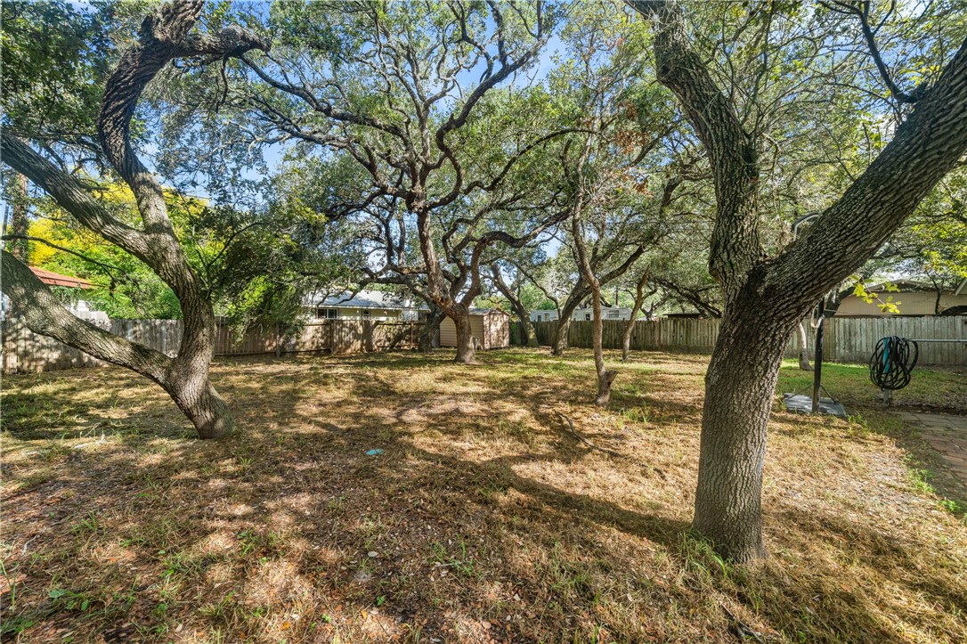 2551 Poinsetta Place Ingleside, TX 78362 - Photo 19 of 21 a view of a yard with trees