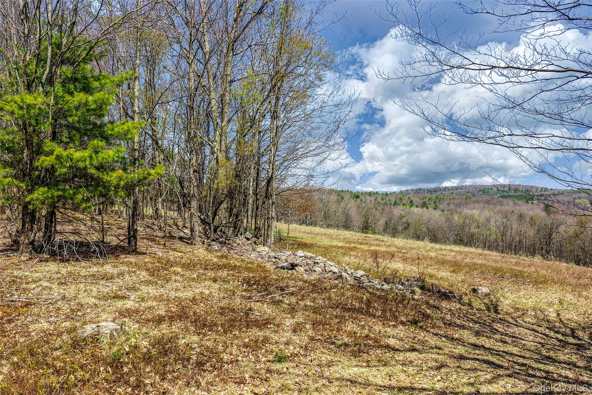 Frank Slawson Road Oneonta, NY 13820 - Photo 13 of 27 a view of a yard with wooden fence