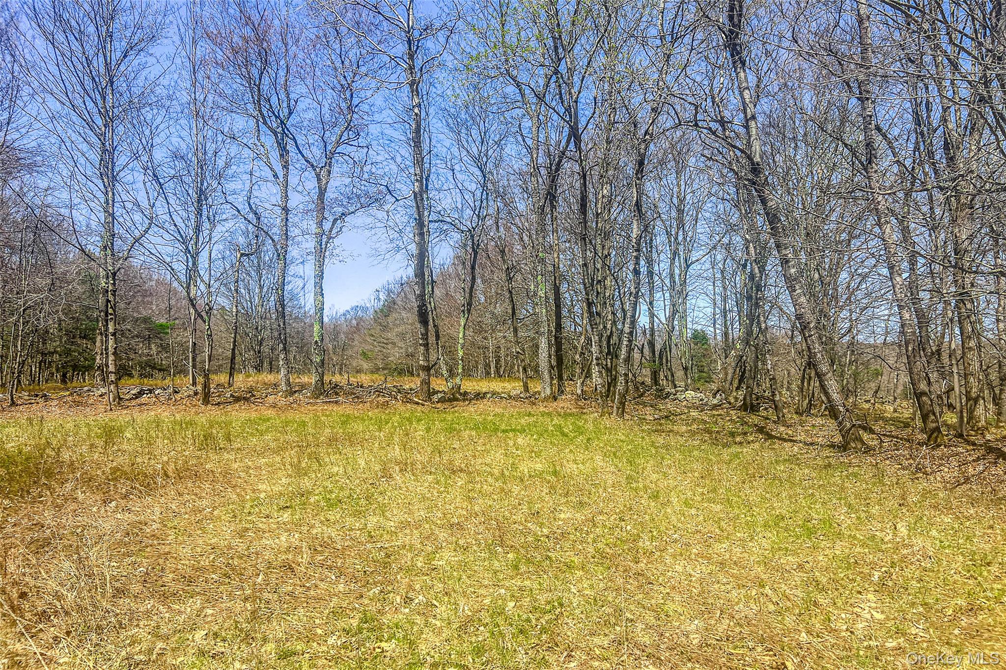 Frank Slawson Road Oneonta, NY 13820 - Photo 14 of 27 a view of yard with swimming pool